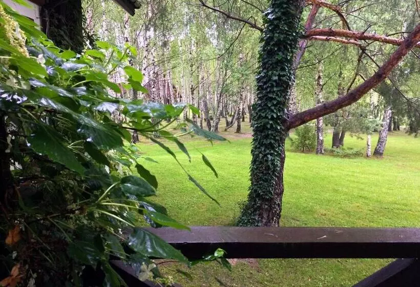 ベッドアンドブレックファースト Modryna   Modrzewiowy Dom