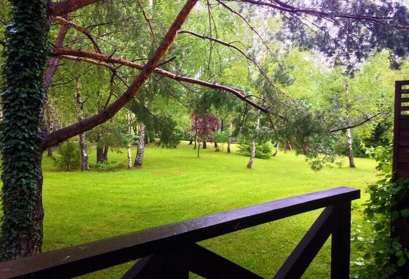 تختخواب و صبحانه Modryna   Modrzewiowy Dom