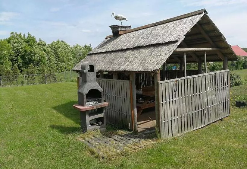 Aamiaismajoitus (B&B) Niebieska Tawerna