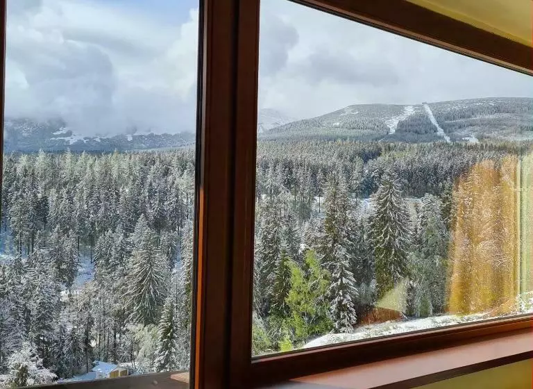 ベッドアンドブレックファースト Piecuch