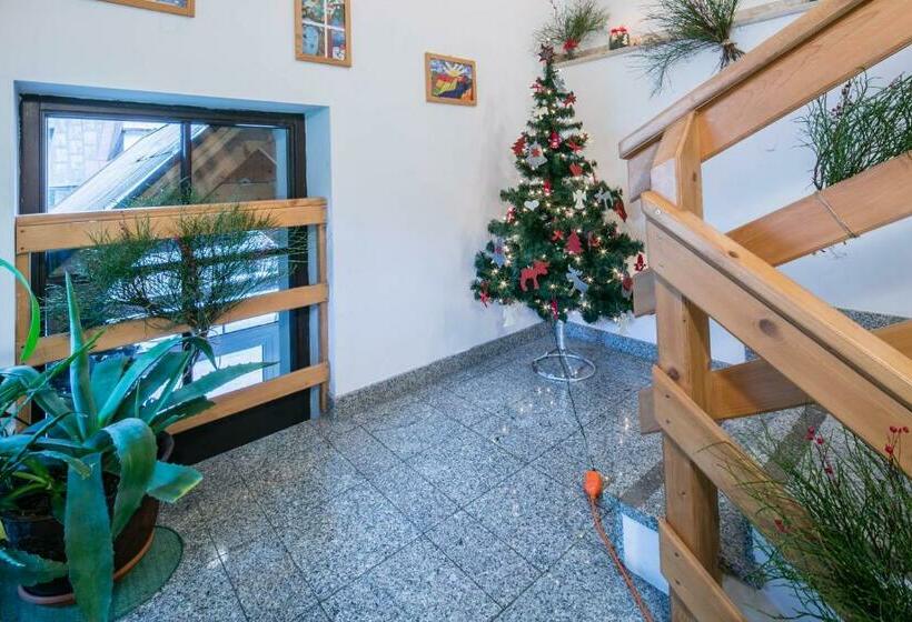 Bed and Breakfast Willa Alpina