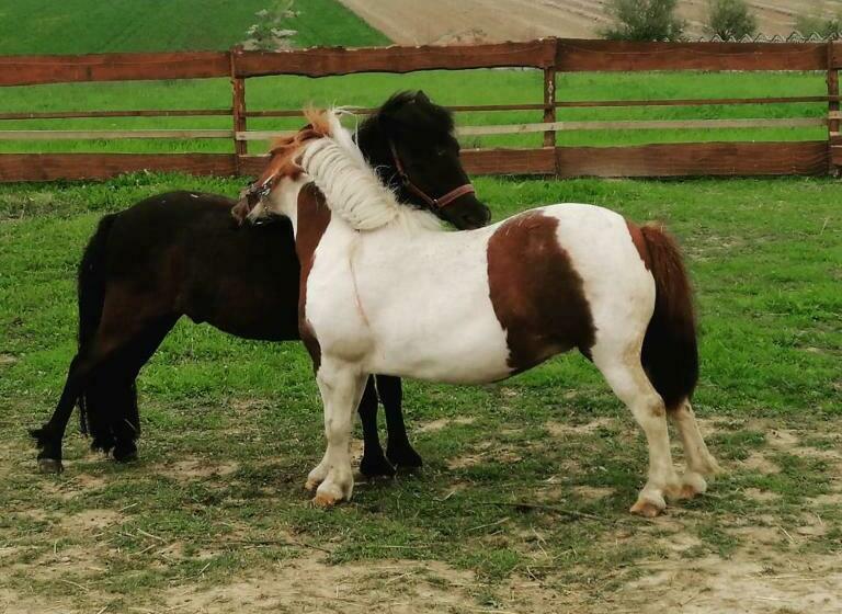 בית מלון כפרי Agroturystyka Nad łąkami