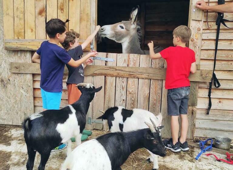 בית מלון כפרי Agroturystyka Nad łąkami