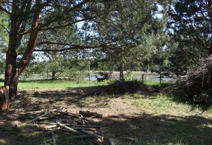 בית מלון כפרי Newland Wójtowicz