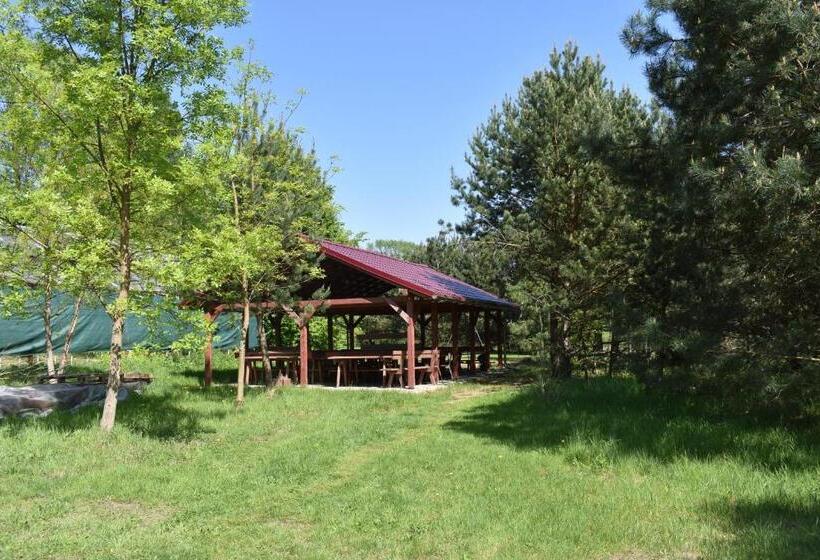 בית מלון כפרי Newland Wójtowicz