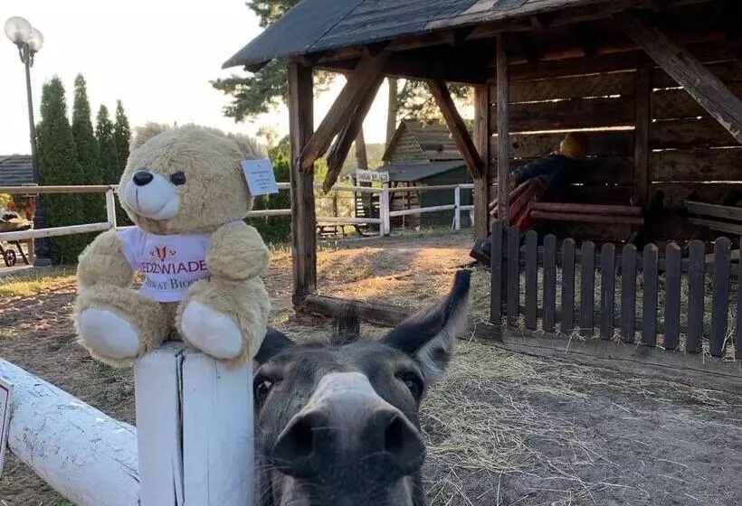 Hotelli Niedźwiadek