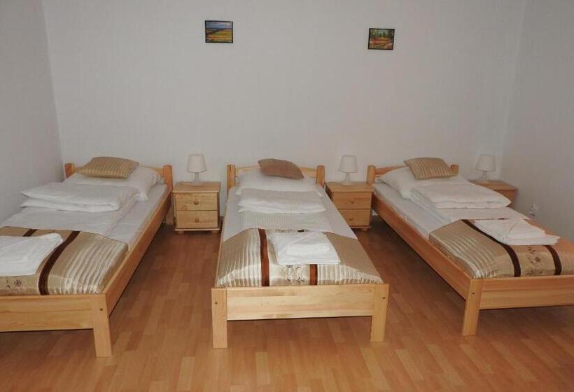 Отель Pokoje Gościnne Pod Brzózką