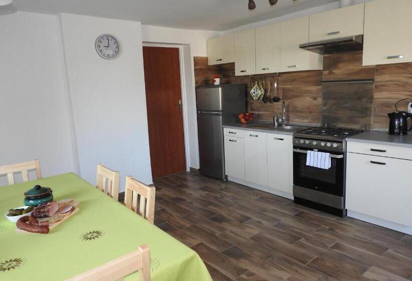 Отель Pokoje Gościnne Pod Brzózką