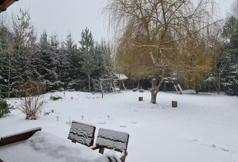 Majatalo Dębowa Dziupla