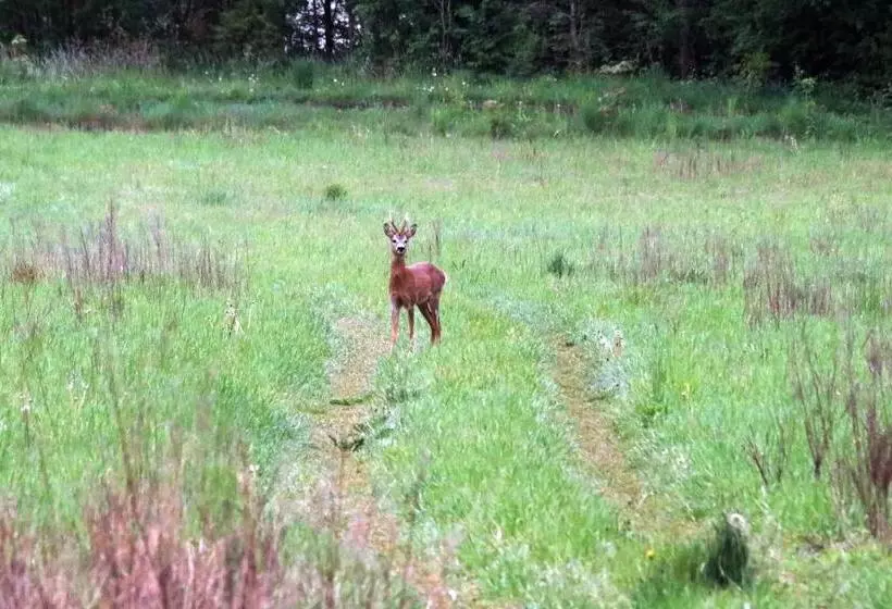 Majatalo Dębowa Dziupla
