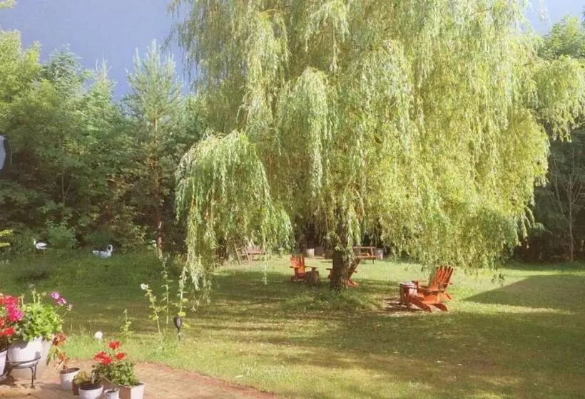 Majatalo Dębowa Dziupla