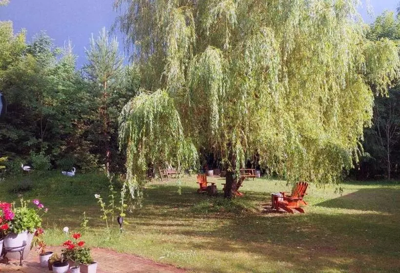 Majatalo Dębowa Dziupla