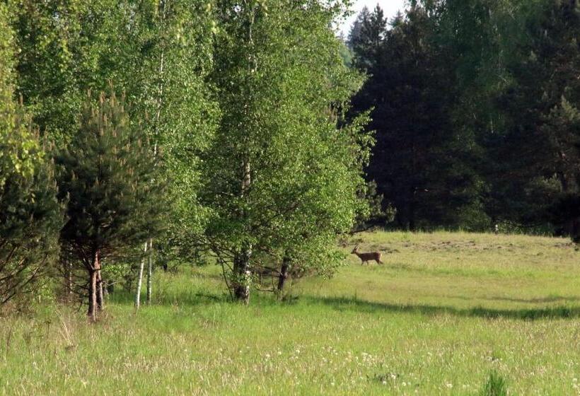 펜션 Dębowa Dziupla