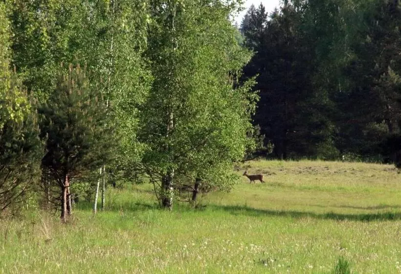 Majatalo Dębowa Dziupla