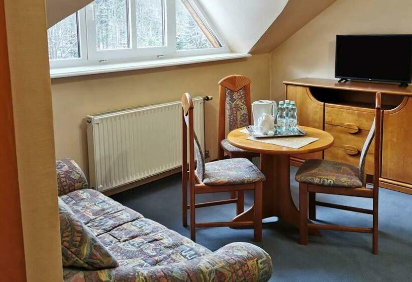 پانسیون Familijny Ośrodek Wypoczynkowo   Rehabilitacyjny Krynica Zdrój