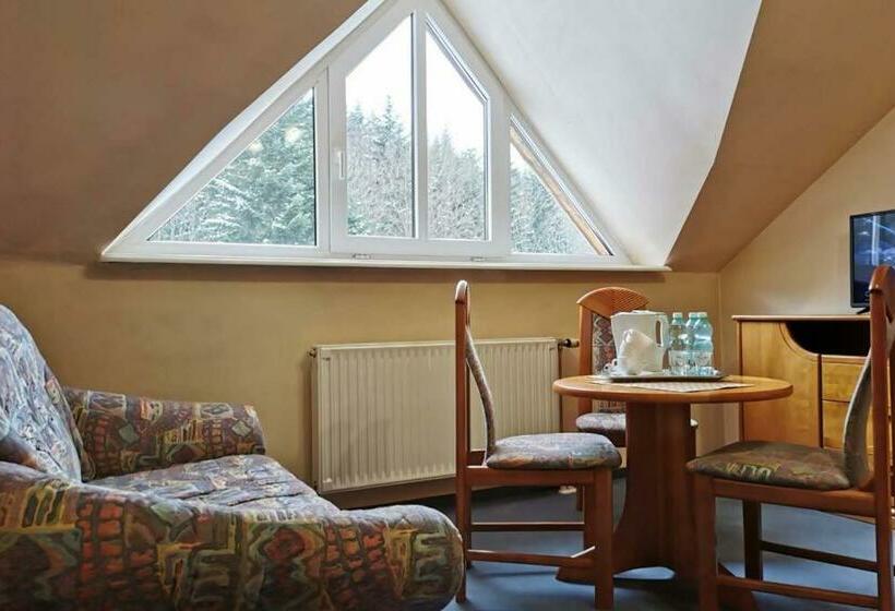 پانسیون Familijny Ośrodek Wypoczynkowo   Rehabilitacyjny Krynica Zdrój