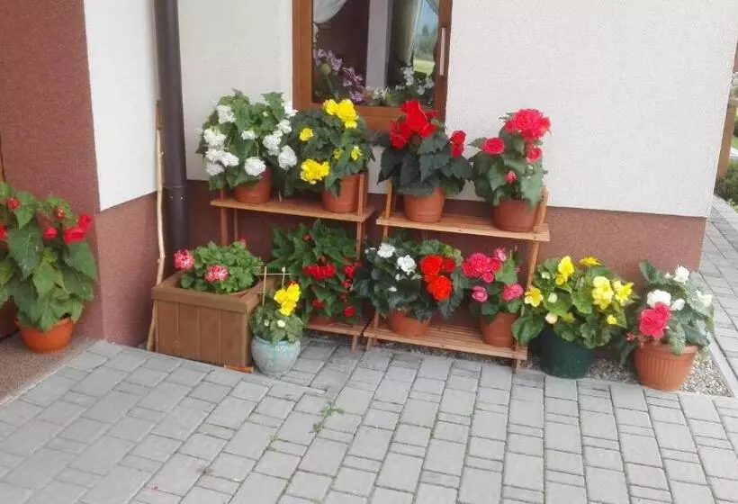 Majatalo Pokoje Gościnne Pod Wysotą