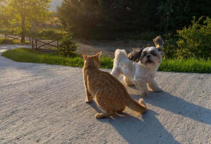 פנסיון Pokoje Gościnne Pod Wysotą