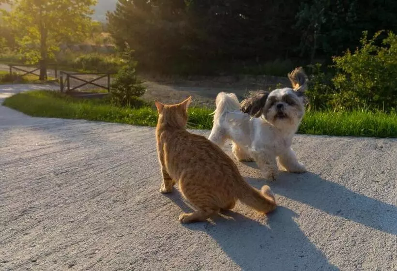 Majatalo Pokoje Gościnne Pod Wysotą