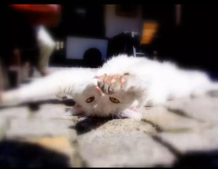 Majatalo Villa Beskid