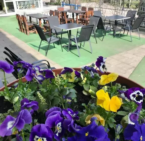 ユースホステル Ik Polonia