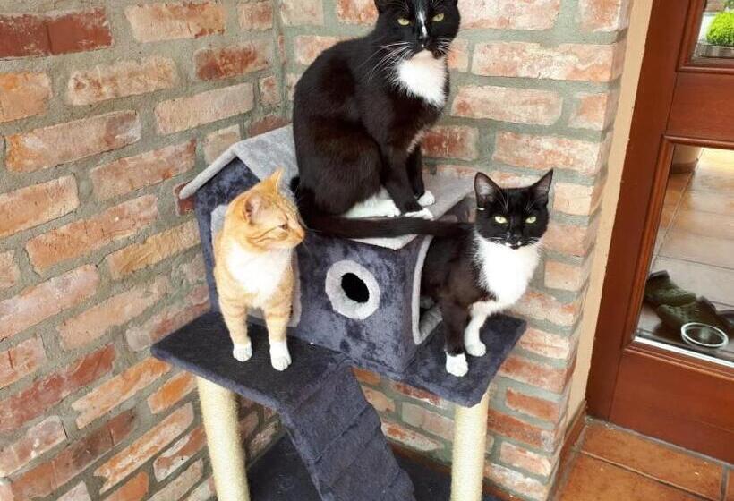 مبيت وإفطار Siedlisko Nad Miedwiem