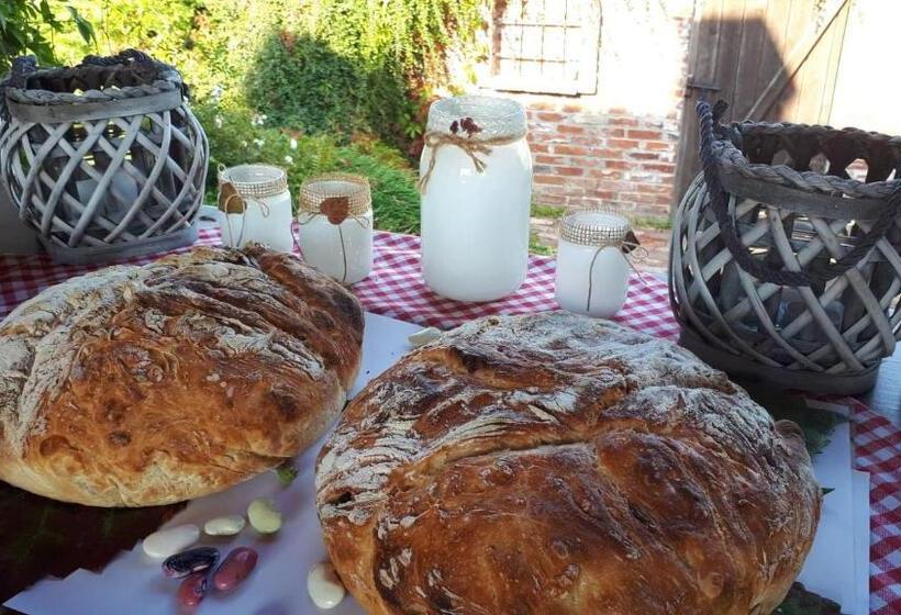 مبيت وإفطار Siedlisko Nad Miedwiem