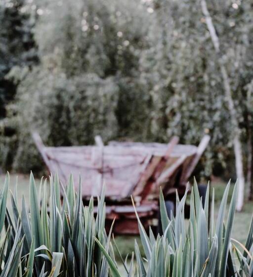 مبيت وإفطار Siedlisko Nad Miedwiem