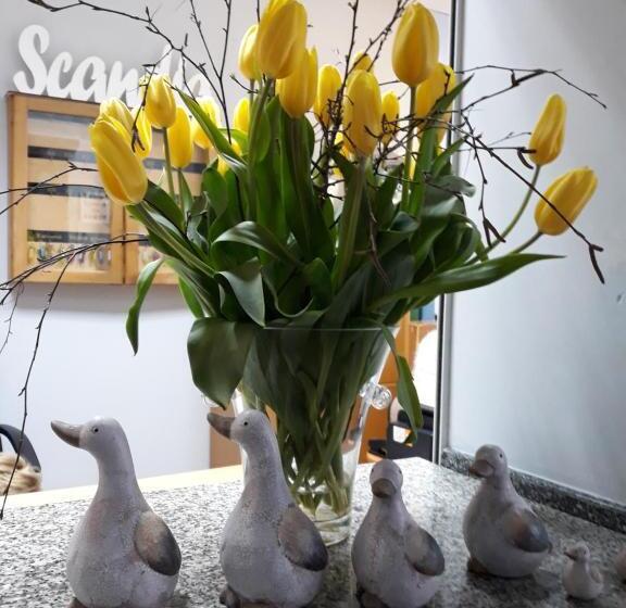 민박 Willa Scandia