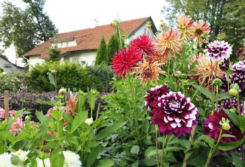 Hotel Agroturystyka Orzechowe Wzgórze