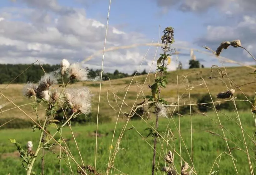 ホテル Agroturystyka Orzechowe Wzgórze