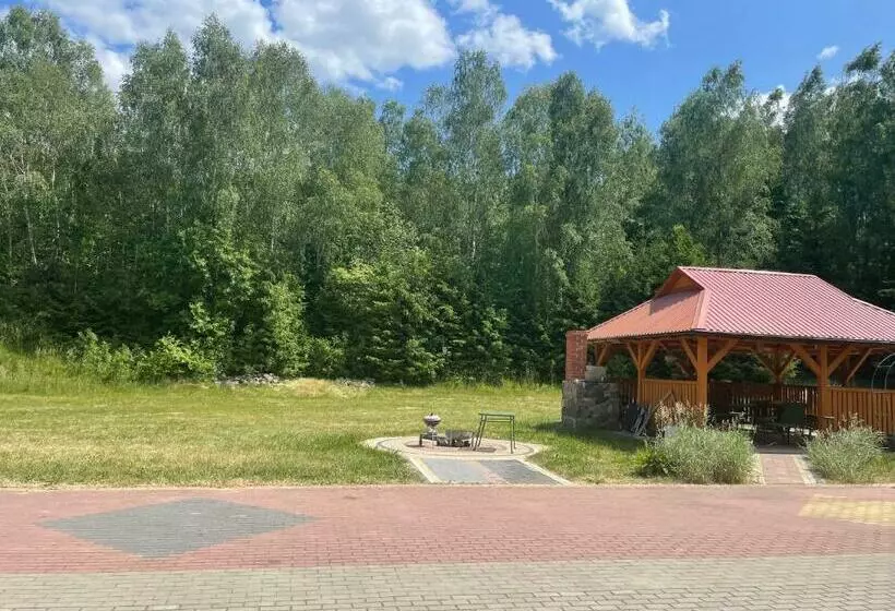 ホテル Agroturystyka W Dolinie Narwi