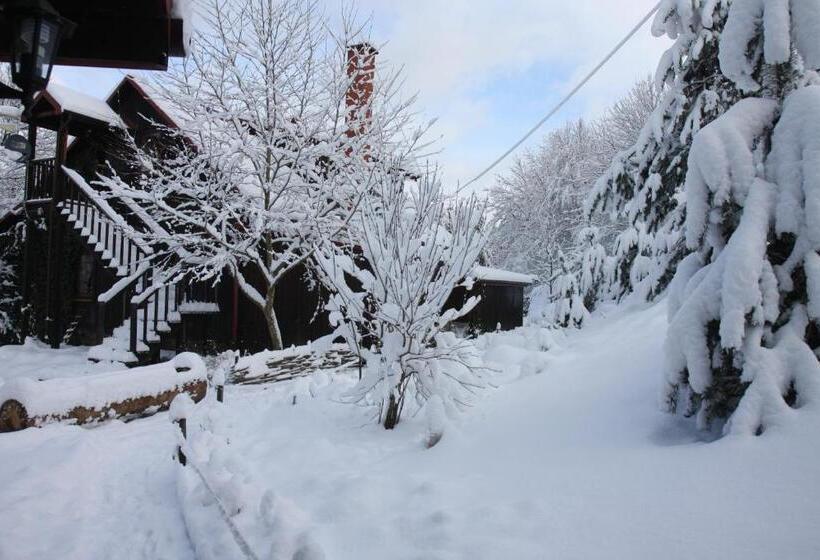 בית מלון כפרי Ropuszy Dwór