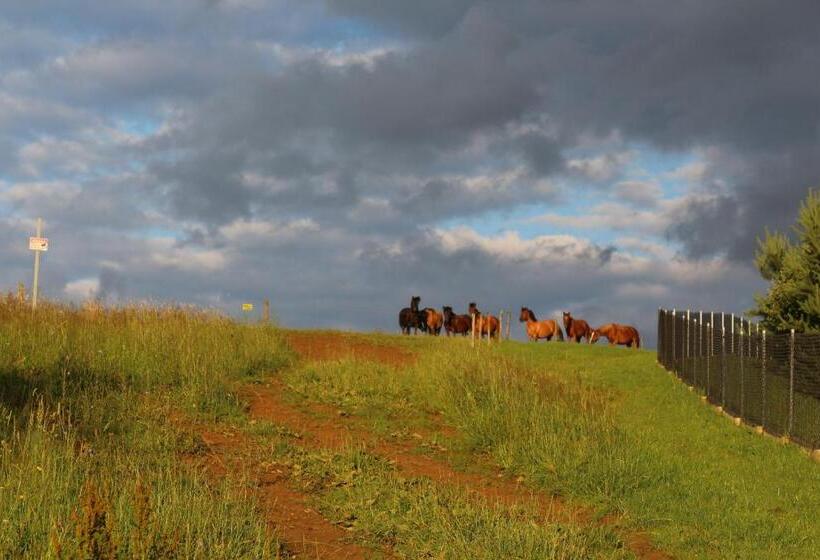 בית מלון כפרי Ropuszy Dwór