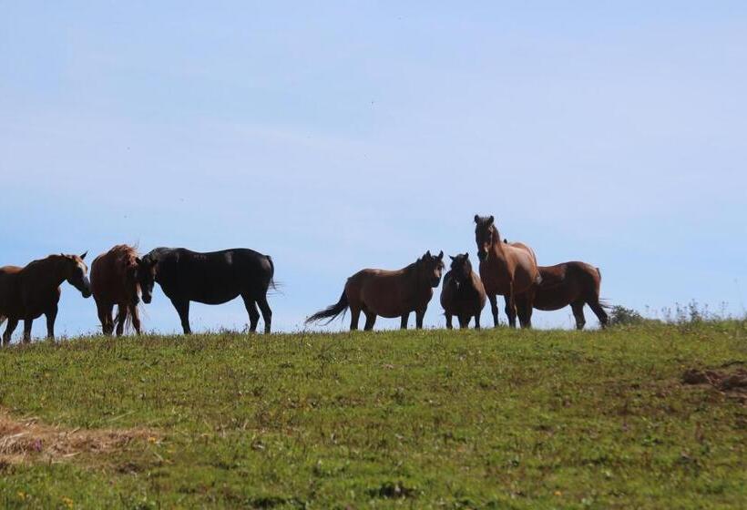 בית מלון כפרי Ropuszy Dwór