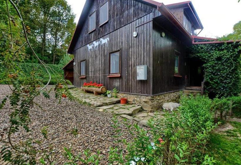 בית מלון כפרי Ropuszy Dwór