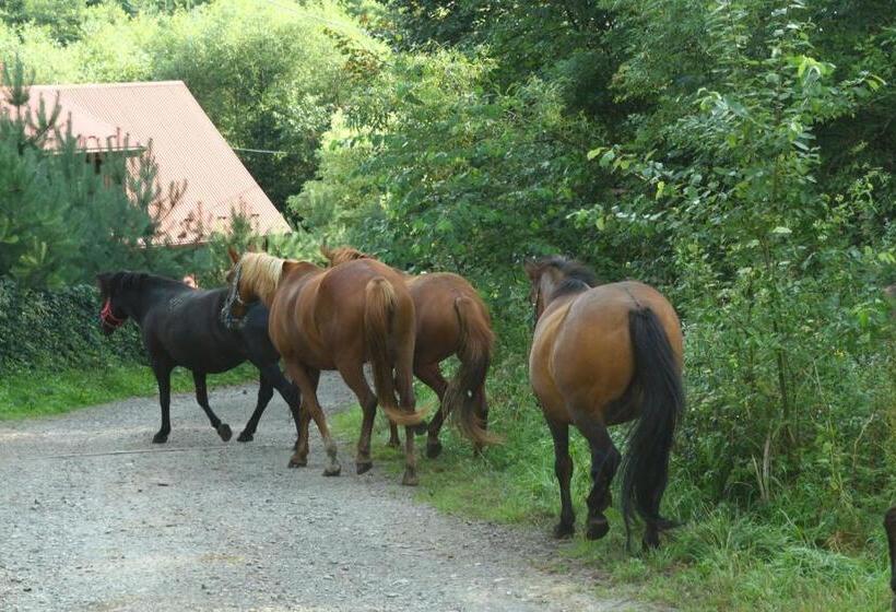 בית מלון כפרי Ropuszy Dwór