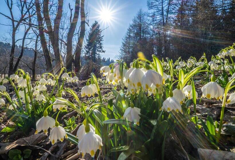 膳宿费 Grzechowisko