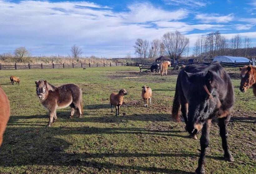 膳宿费 Rancho Colorado