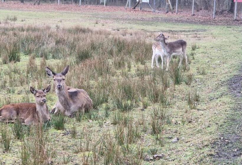 膳宿费 Rancho Colorado