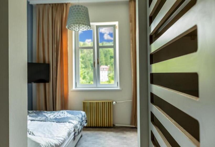 펜션 Willa Halinówka