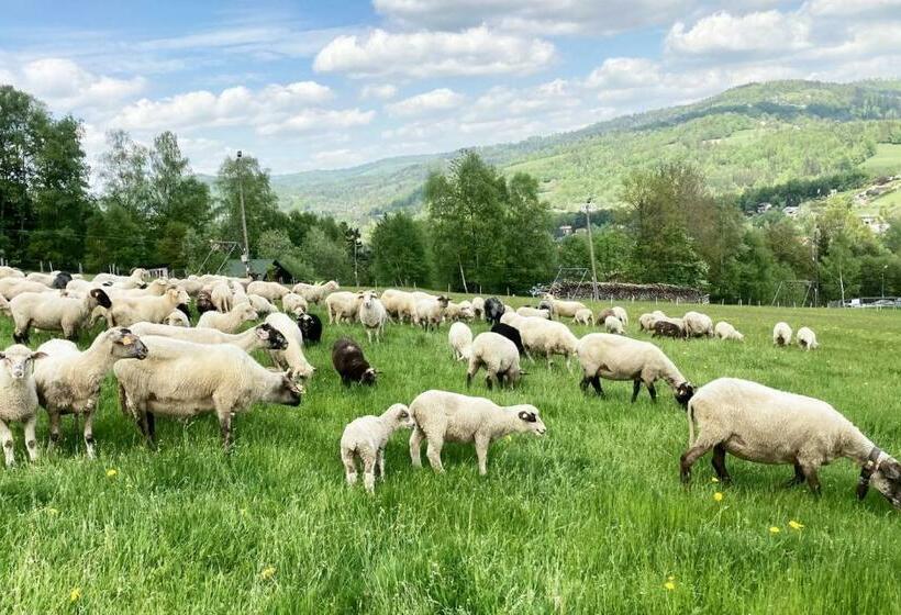 پانسیون Willa Górskie Retro