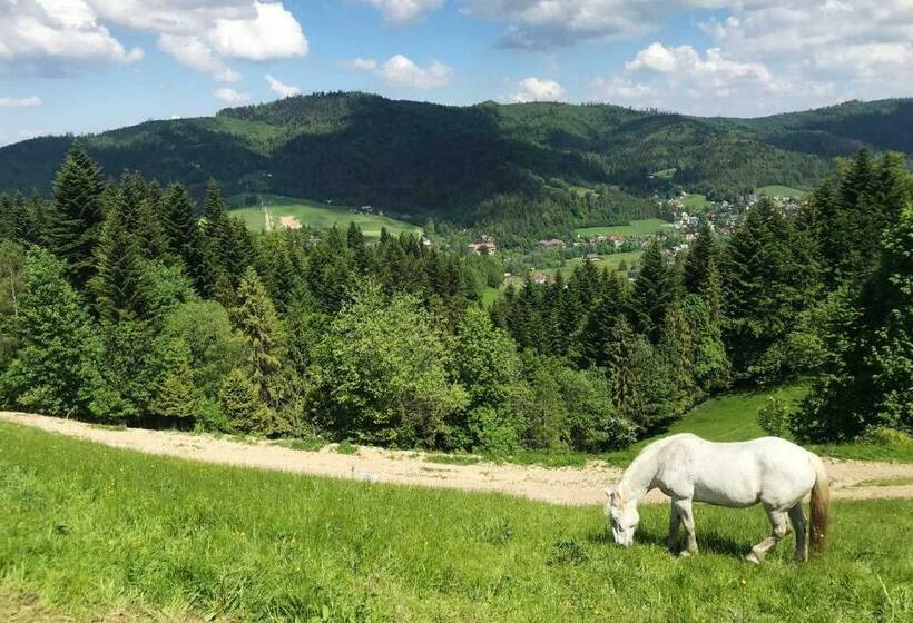 پانسیون Willa Górskie Retro