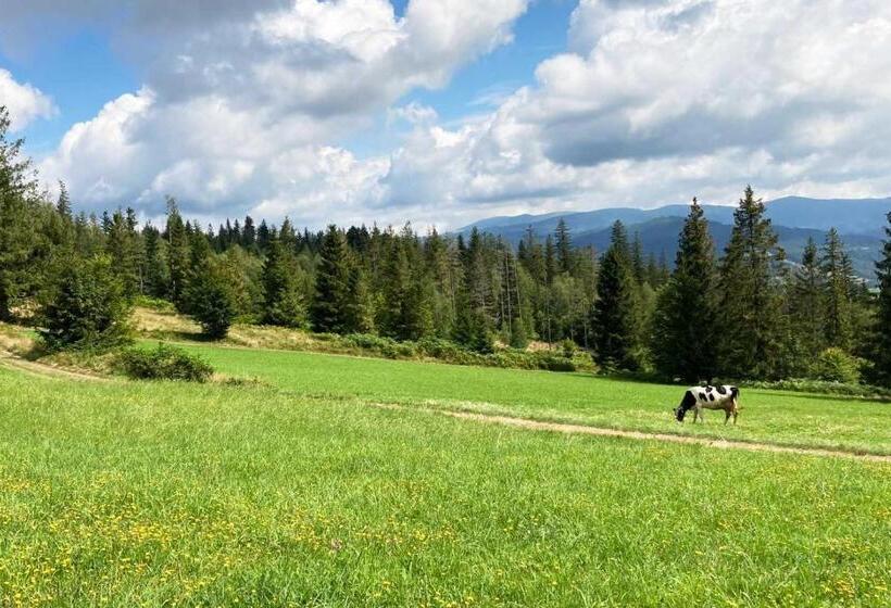 پانسیون Willa Górskie Retro