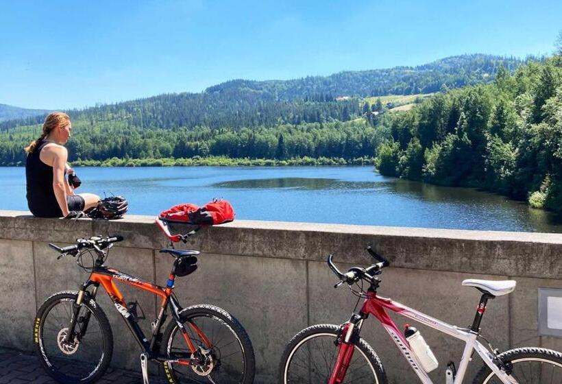 پانسیون Willa Górskie Retro