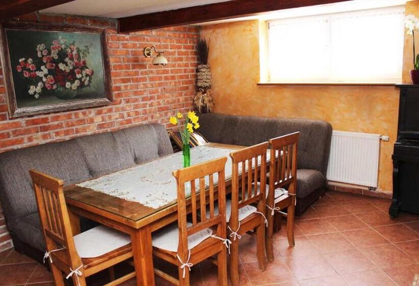 پانسیون Willa Górskie Retro