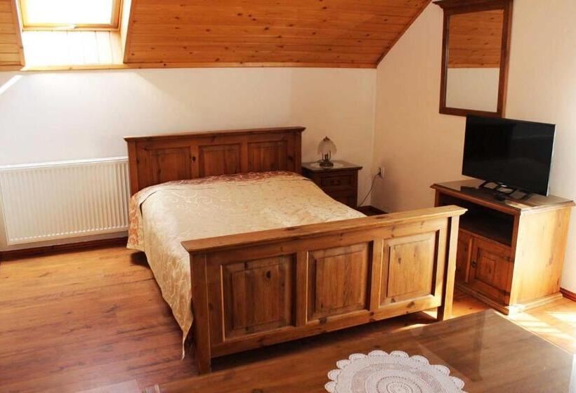 پانسیون Willa Górskie Retro