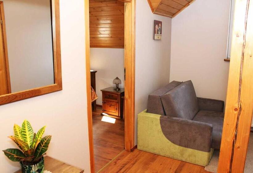 پانسیون Willa Górskie Retro