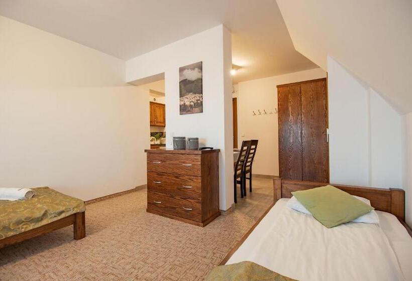 Pensionat Willa Szmaragd śniadania Zniżki Na Termy Sauna Bilard Stoki Narciarskie