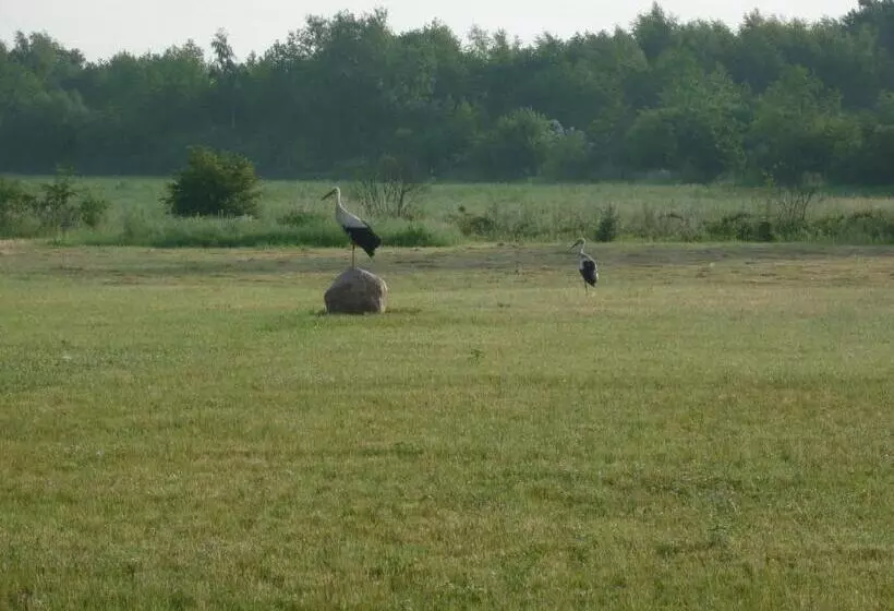 Pensjonat Sielanka